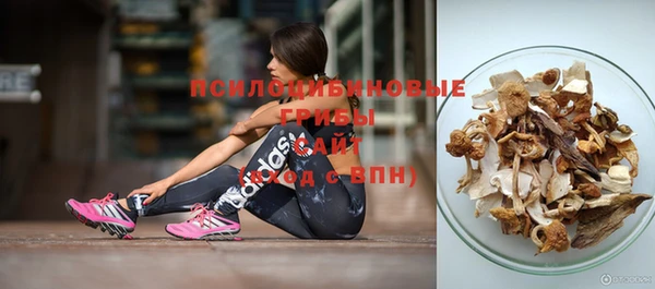 герыч Пересвет