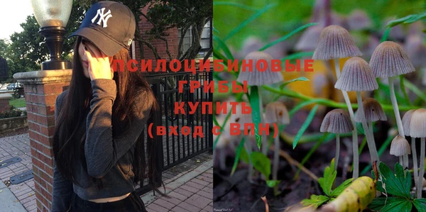 jwh Пестово