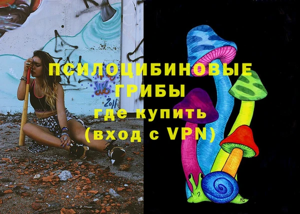 герыч Пересвет