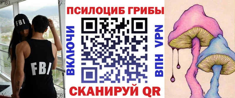 Галлюциногенные грибы Psilocybine cubensis  Хадыженск 